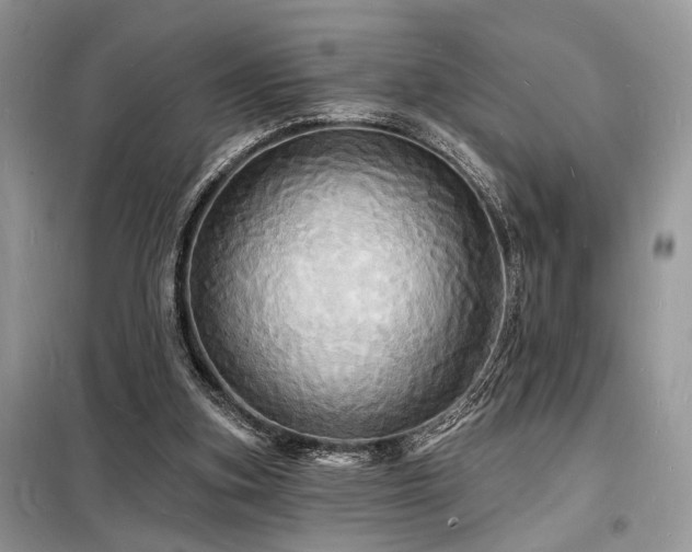 X0000098230155200804241348