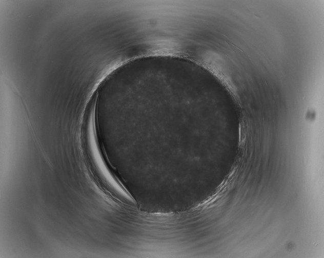 X0000098230156200804241348