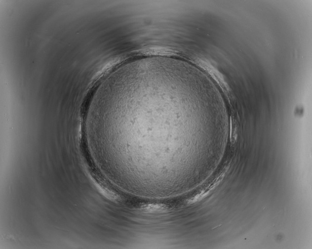 X0000098230157200804241348