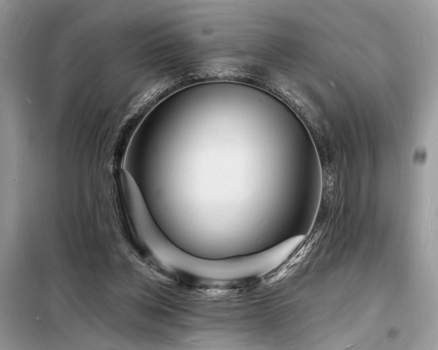 X0000098230158200804241348