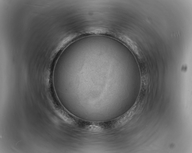 X0000098230159200804241348