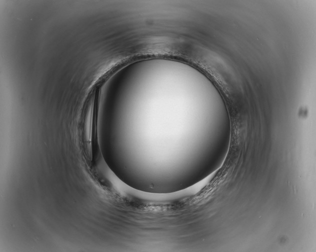 X0000098230160200804241348