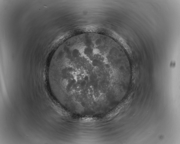 X0000098230161200804241348