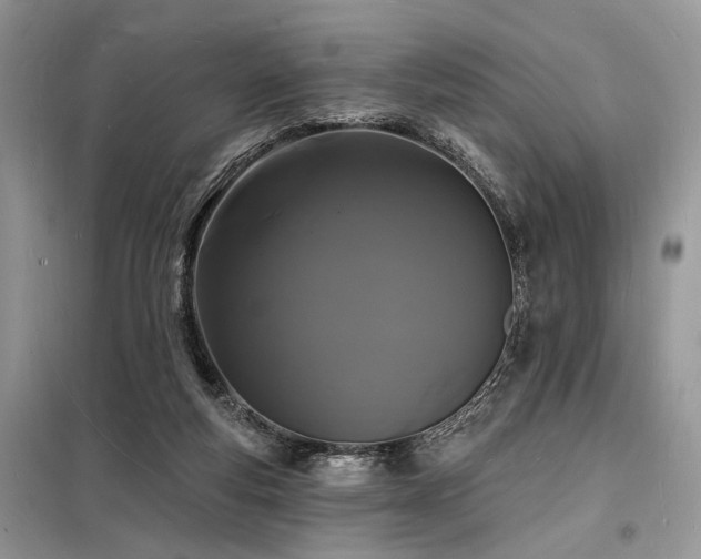 X0000098230163200804241348