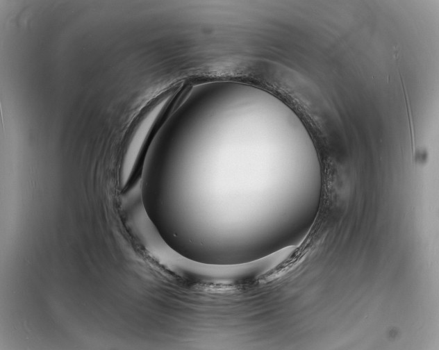 X0000098230164200804241348