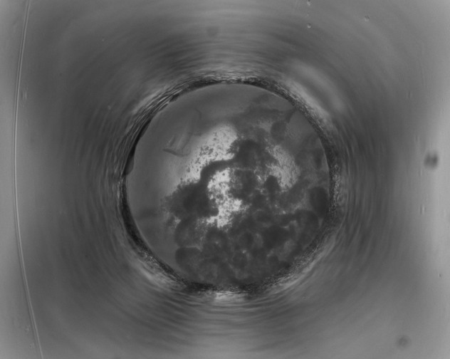 X0000098230165200804241348