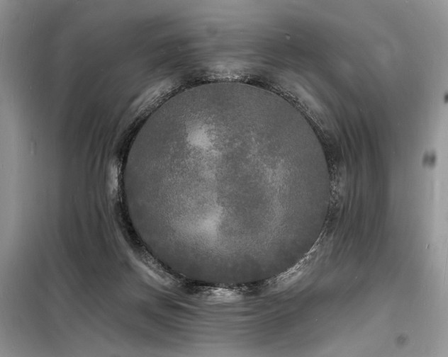 X0000098230166200804241348