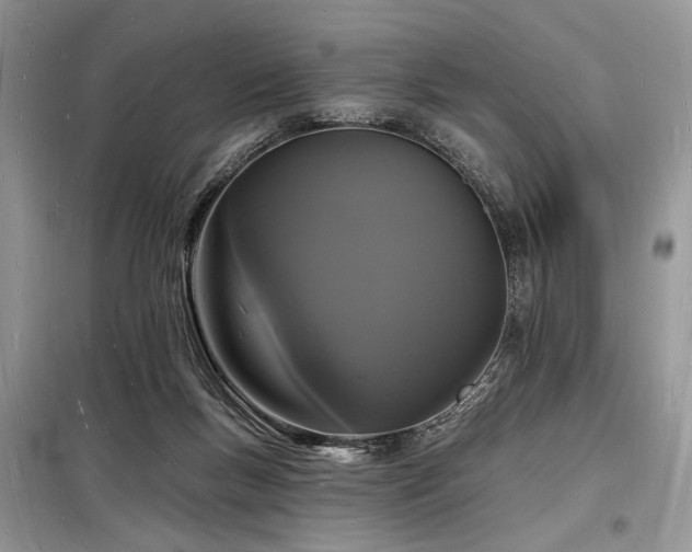 X0000098230167200804241348