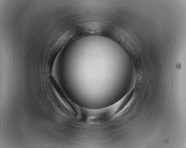 X0000098230170200804241348