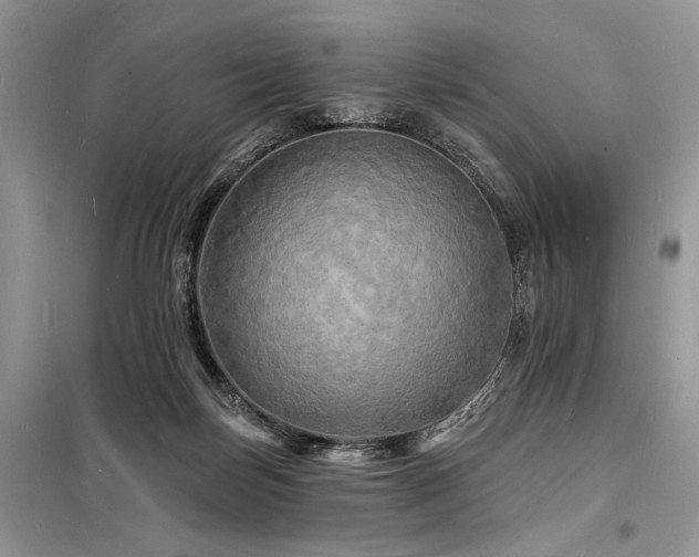 X0000098230171200804241348