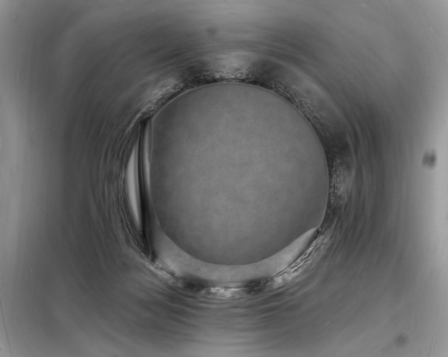 X0000098230172200804241348