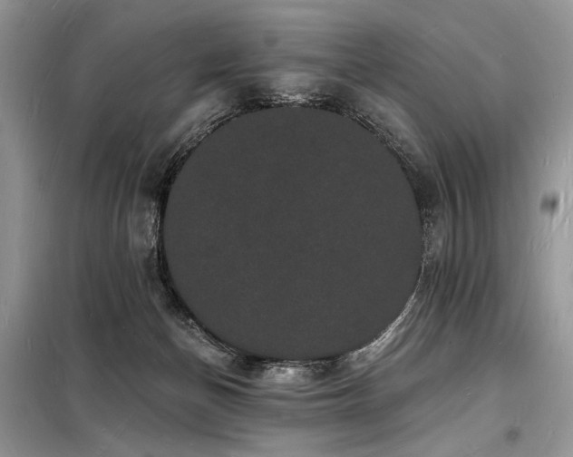 X0000098230174200804241348