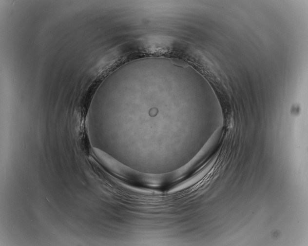 X0000098230176200804241349