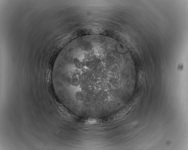 X0000098230177200804241349