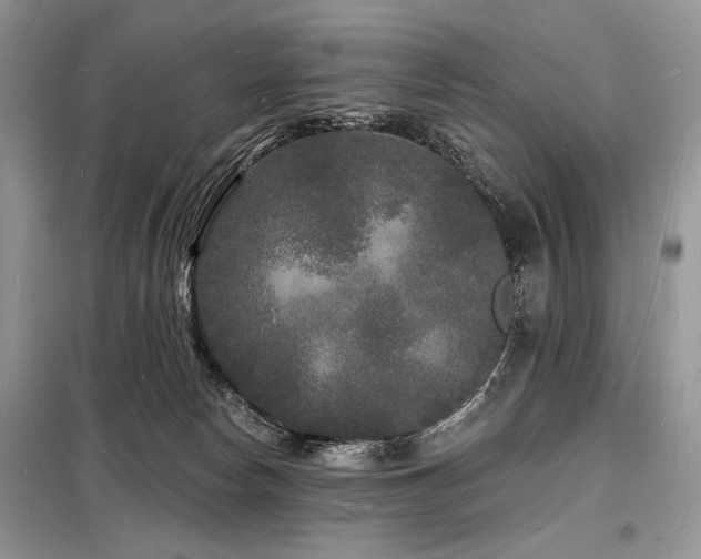 X0000098230178200804241349