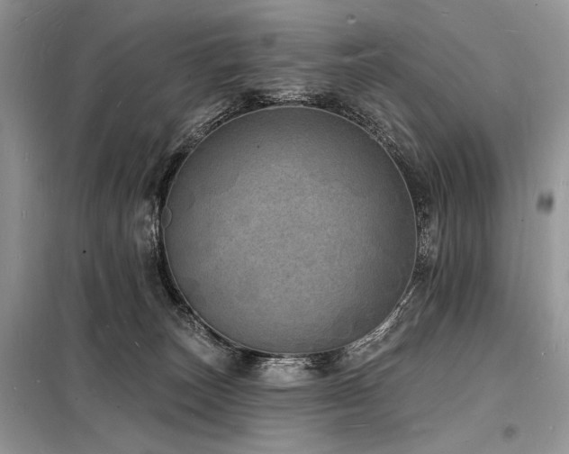 X0000098230179200804241349