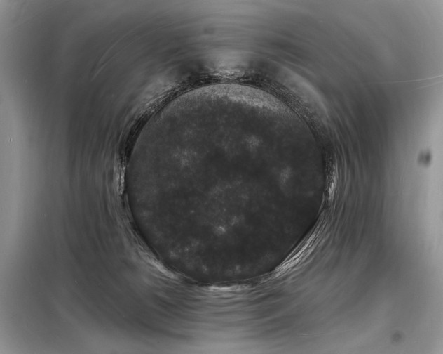 X0000098230180200804241349