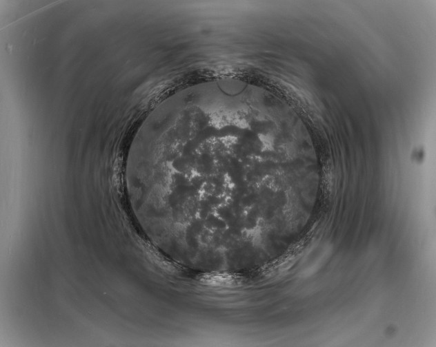 X0000098230181200804241349