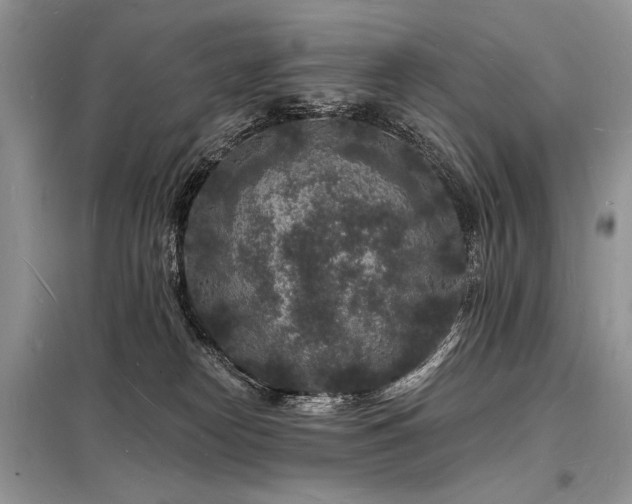 X0000098230182200804241349