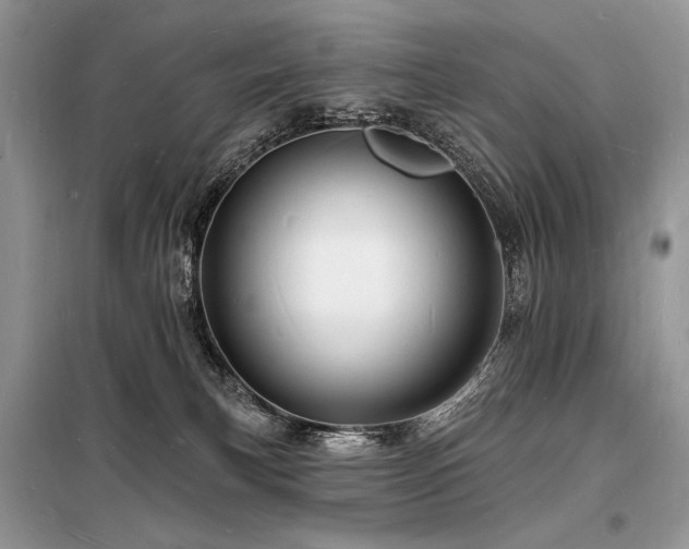 X0000098230183200804241349