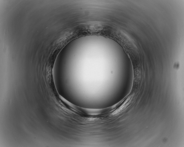 X0000098230184200804241349