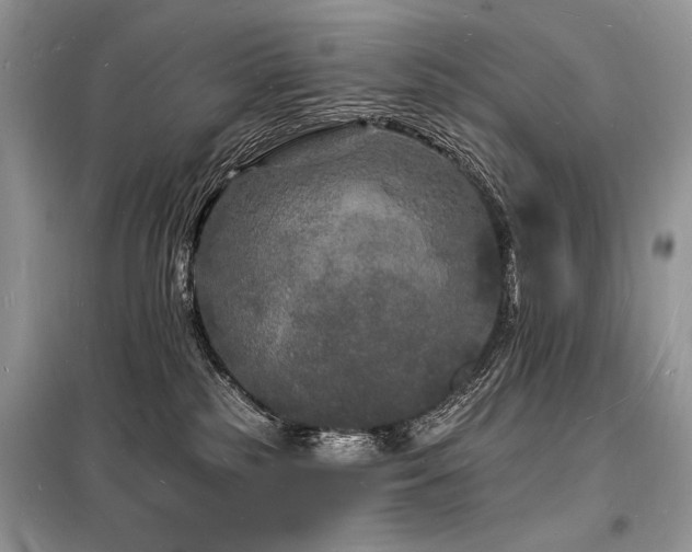 X0000098230185200804241349