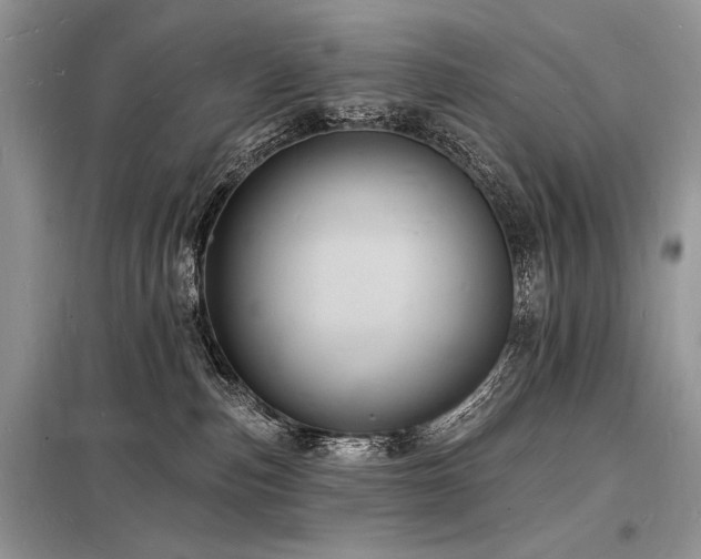 X0000098230187200804241349