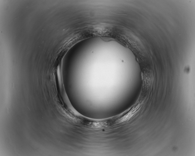 X0000098230188200804241349