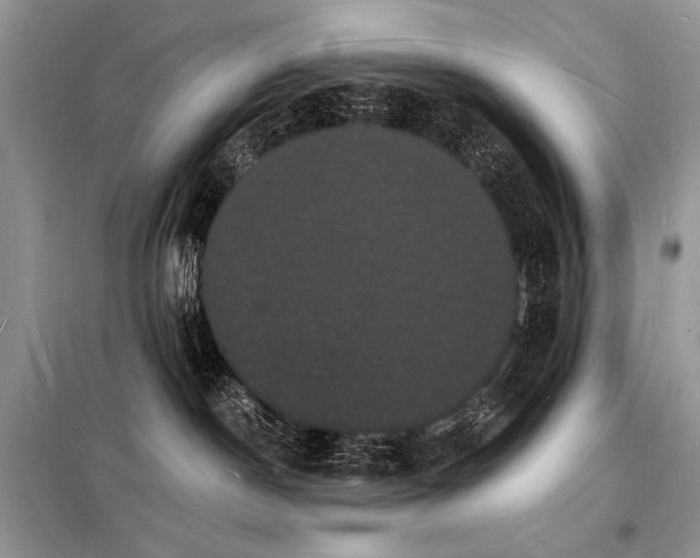 X0000098230190200804241349