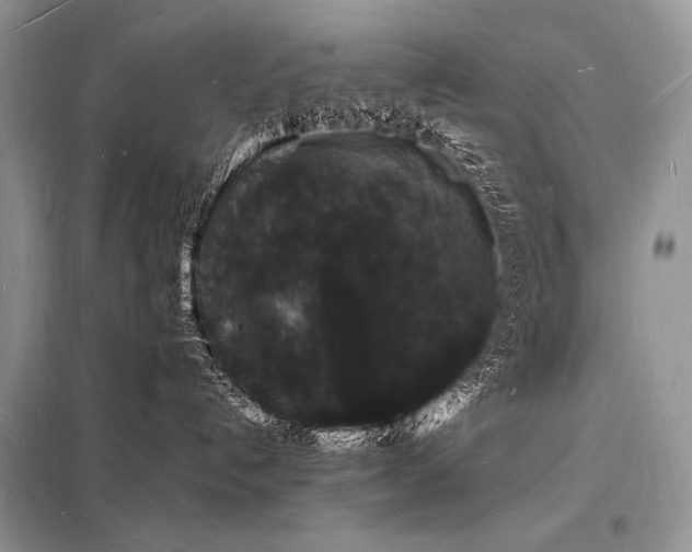 X0000098230192200804241349