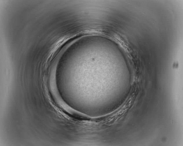 X0000098230193200804241348