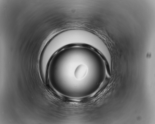X0000098230195200804241348