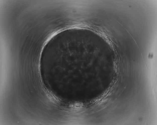 X0000098230196200804241348
