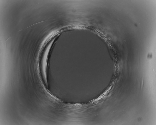 X0000098230197200804241348