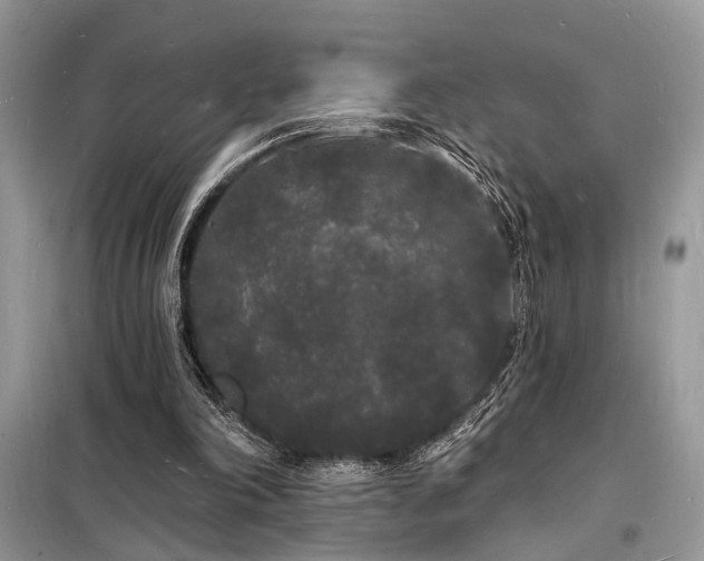 X0000098230198200804241348
