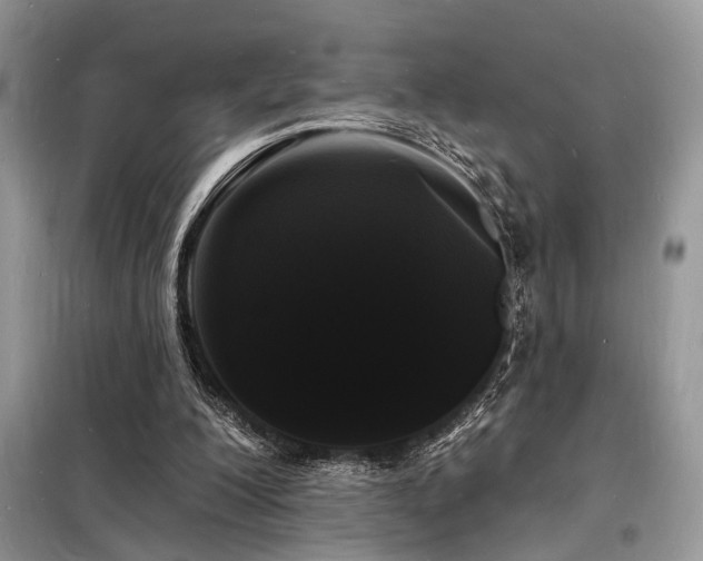X0000098230200200804241348