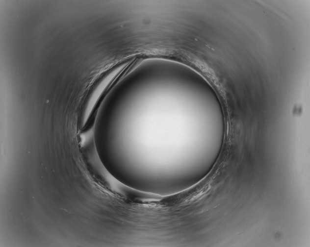 X0000098230201200804241348