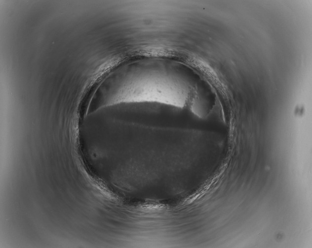 X0000098230202200804241348