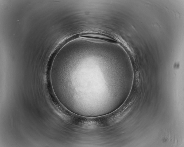 X0000098230203200804241348