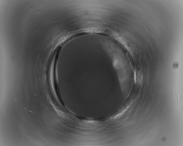 X0000098230205200804241348