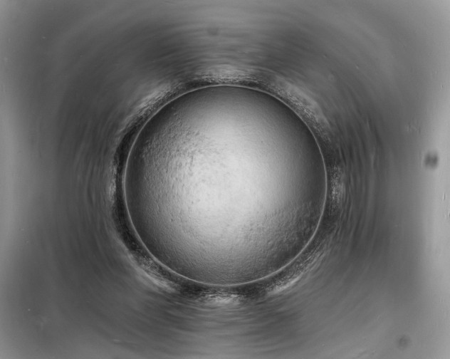 X0000098230206200804241348