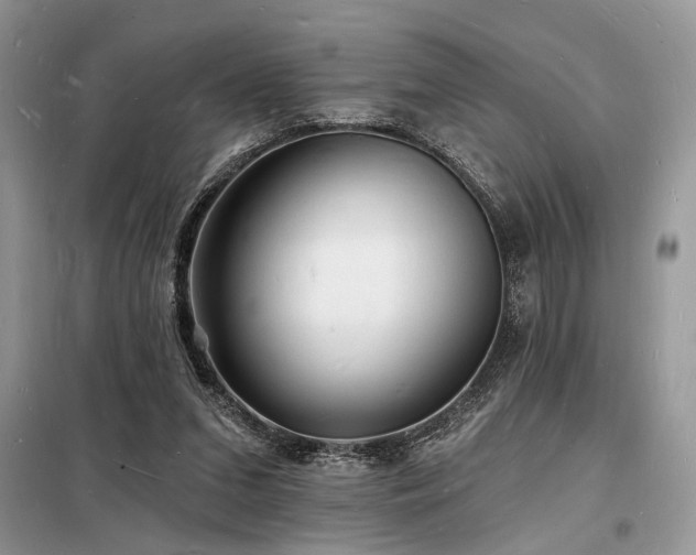 X0000098230207200804241348