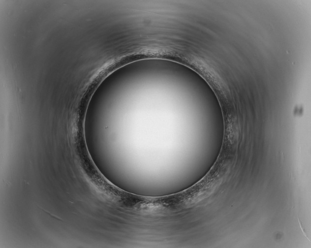 X0000098230208200804241348