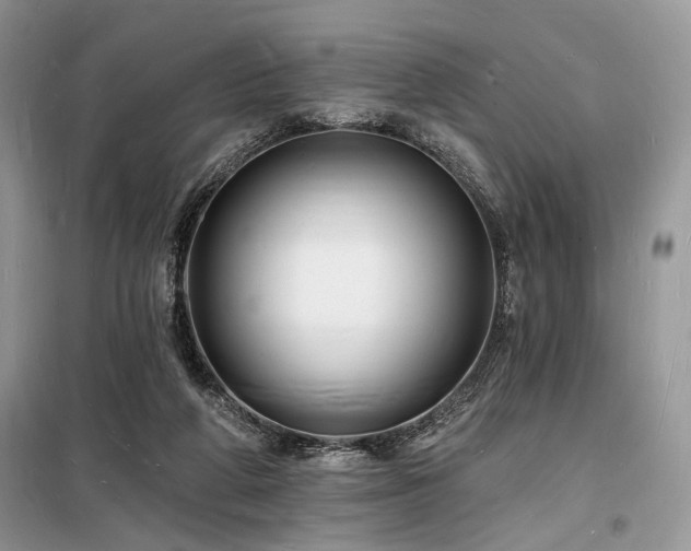 X0000098230210200804241348