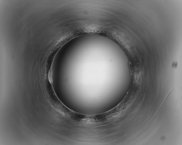 X0000098230211200804241348