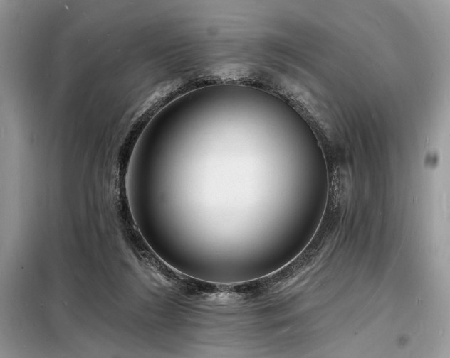 X0000098230212200804241348