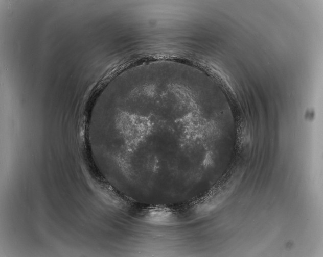 X0000098230214200804241348