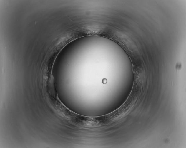 X0000098230215200804241348