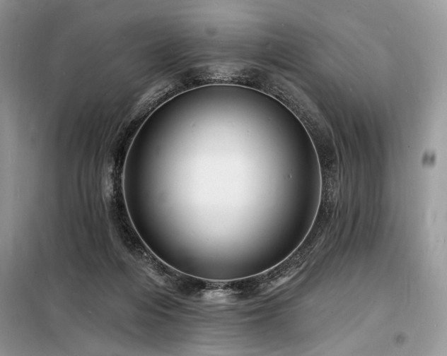 X0000098230216200804241348