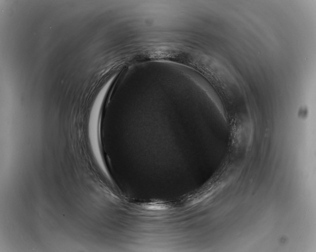 X0000098230219200804241348
